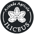 Logo-Iliceus-wb
